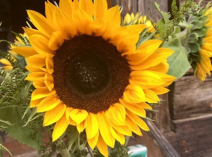 Apartman Bei Annelie Krakaudorf