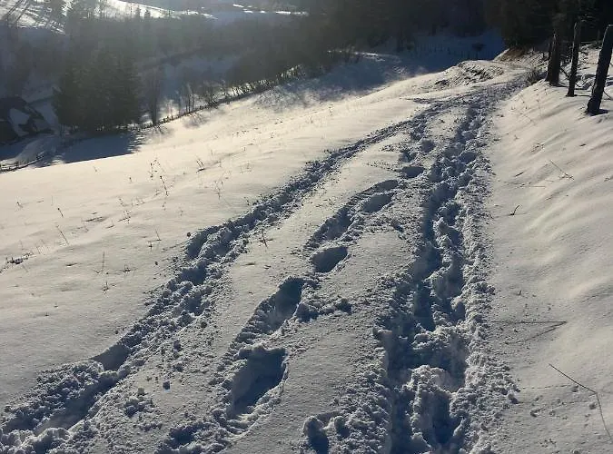 Bei Annelie Apartment *